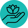 Holistic Approach